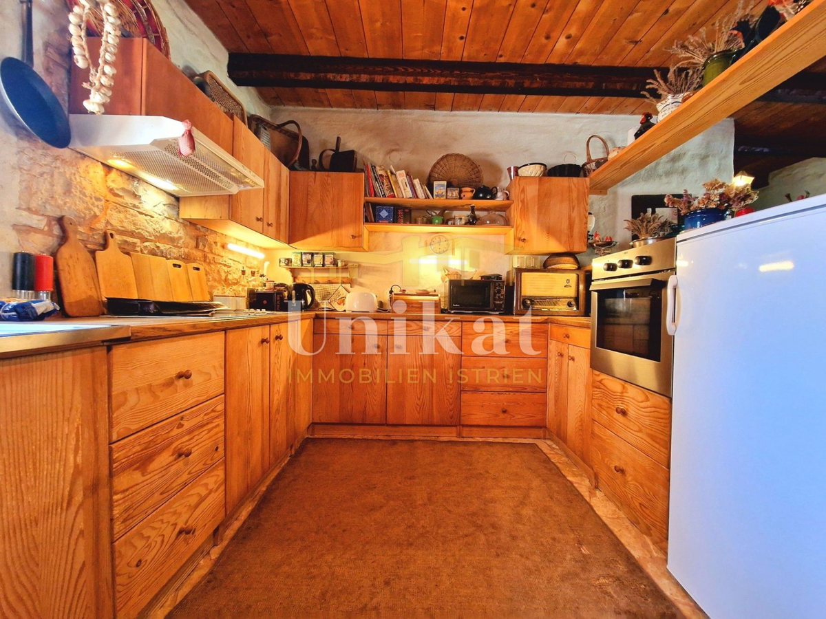 Avtentično posestvo s kamnito hišo in velikim zemljiščem